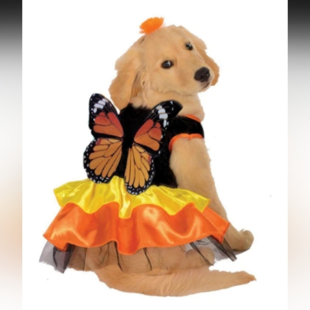 Monarch butterfly 🦋 NWT doggy outfit/ costume